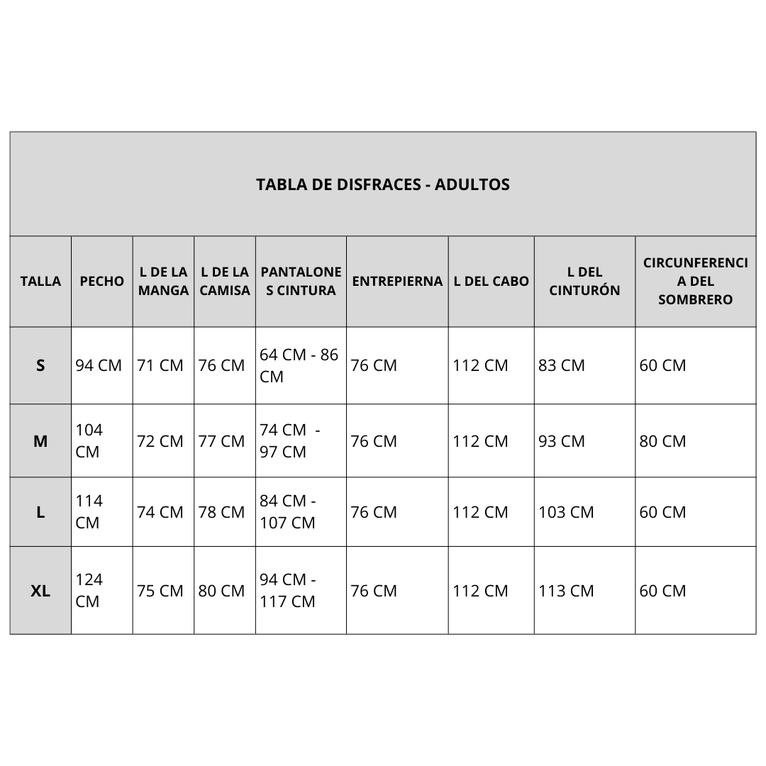 Disfraz Hombre El Zorro4