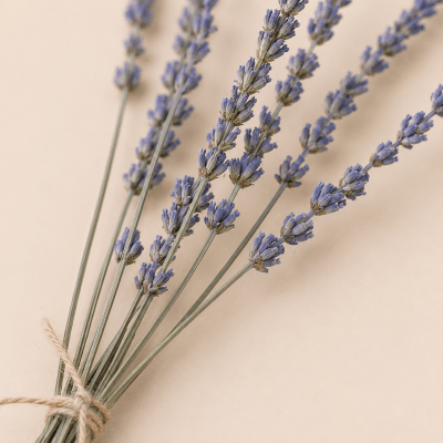 Ramito Lavanda