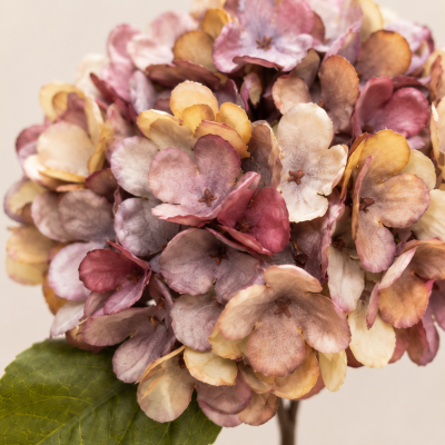 Flor Hortensia Vara Corta
