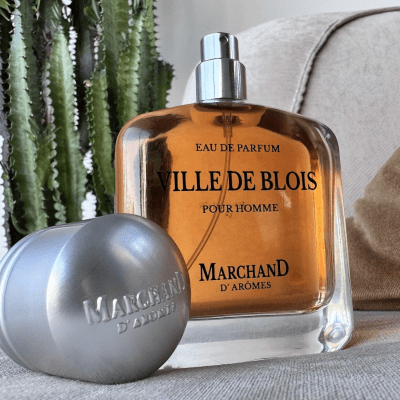 Homme Ville De Blois