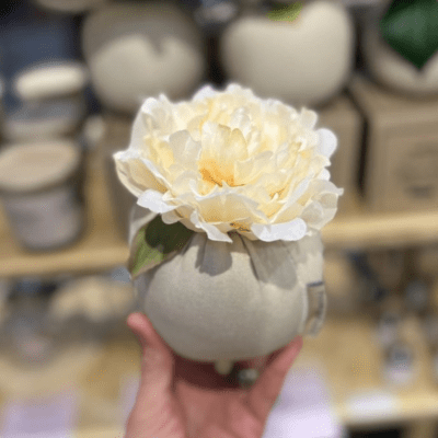Flower Bomb Toscana Dream