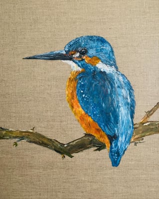 Cuadros Pájaros de Chile