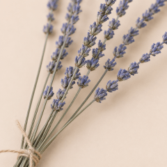 Ramito Lavanda 0