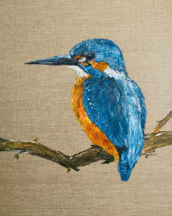 Cuadros Pájaros de Chile 0