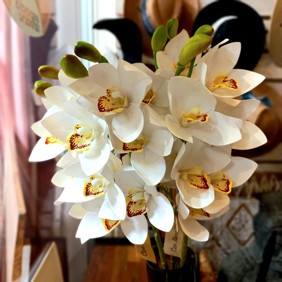 Flor Orquídea Blanca2