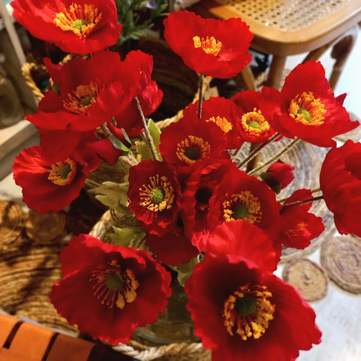 Flor Amapola2
