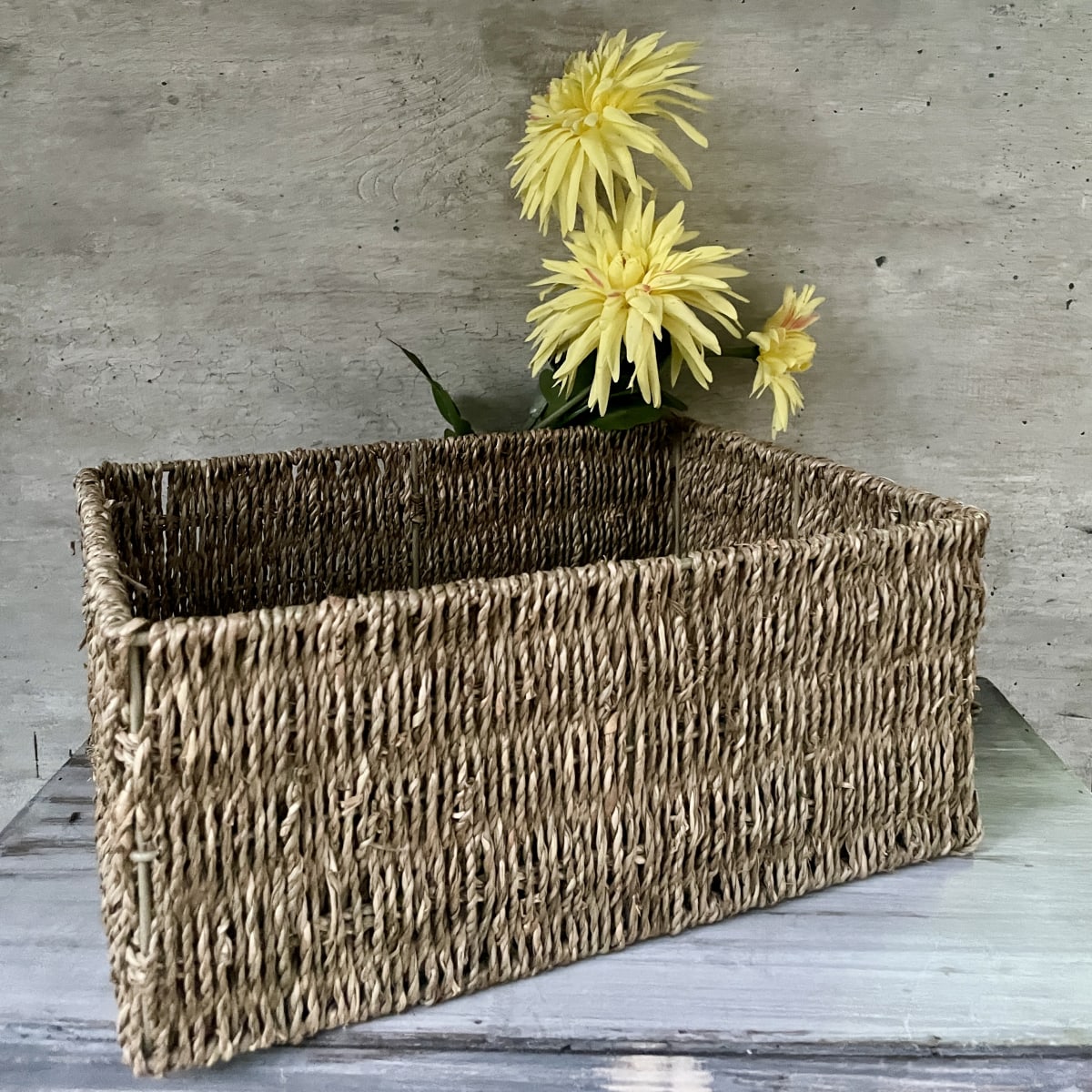 Caja Ratan4