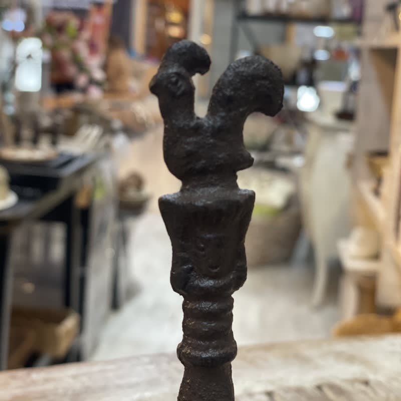 Campana Gallo1
