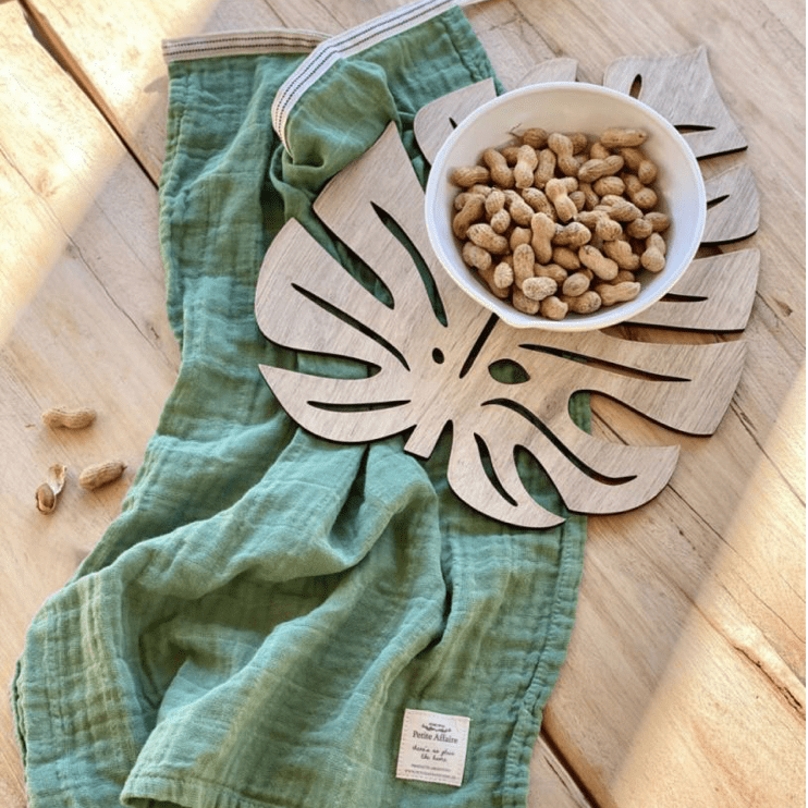 Posa Fuente Philodendro1