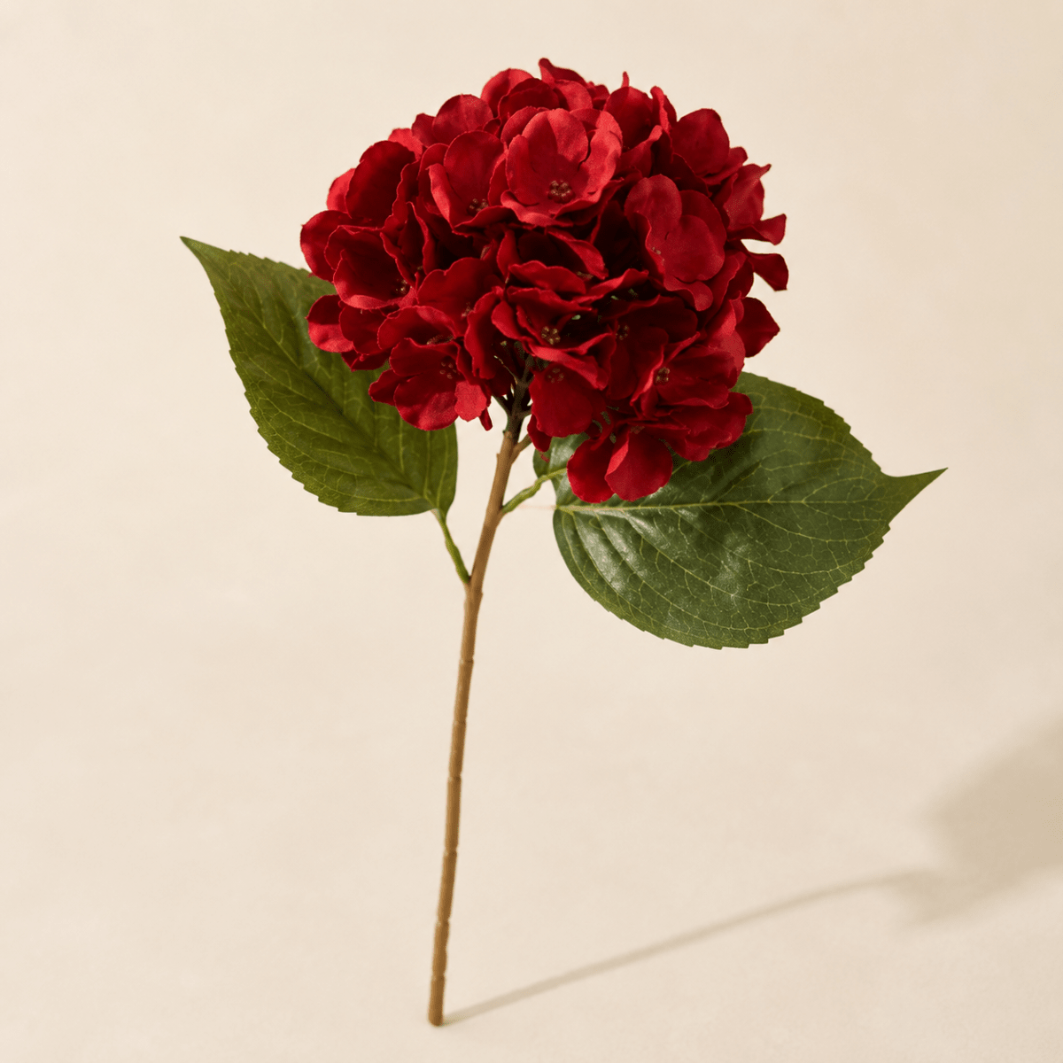 Flor Hortensia Vara Larga4