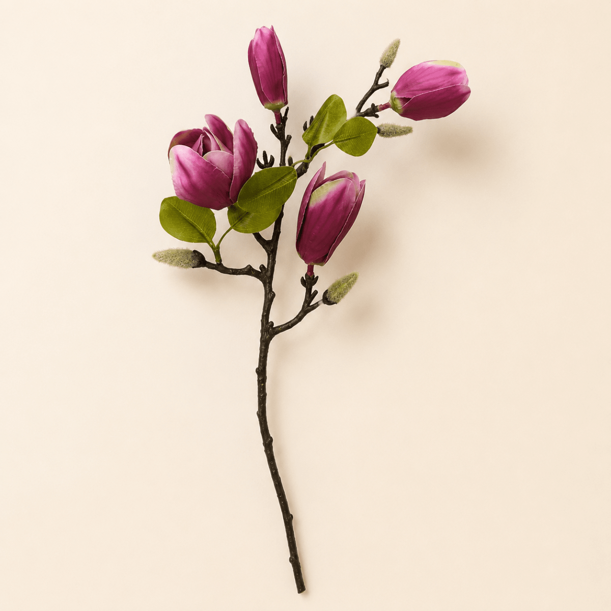 Flor Magnolia Rosada2