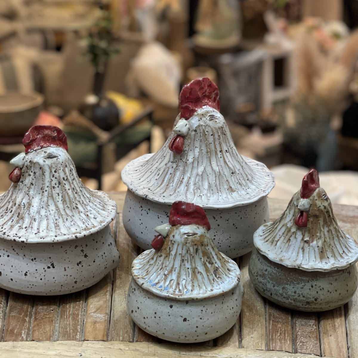 Gallina Grés4