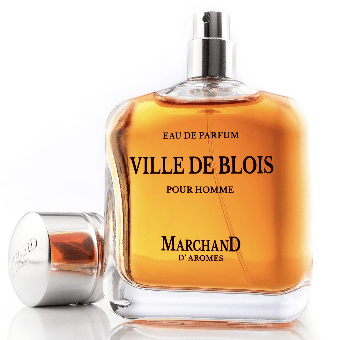 Homme Ville De Blois2