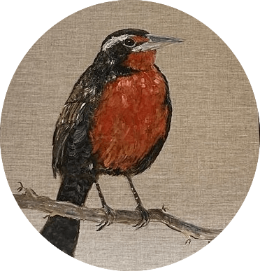 Cuadros Pájaros de Chile2