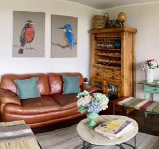 Cuadros Pájaros de Chile3