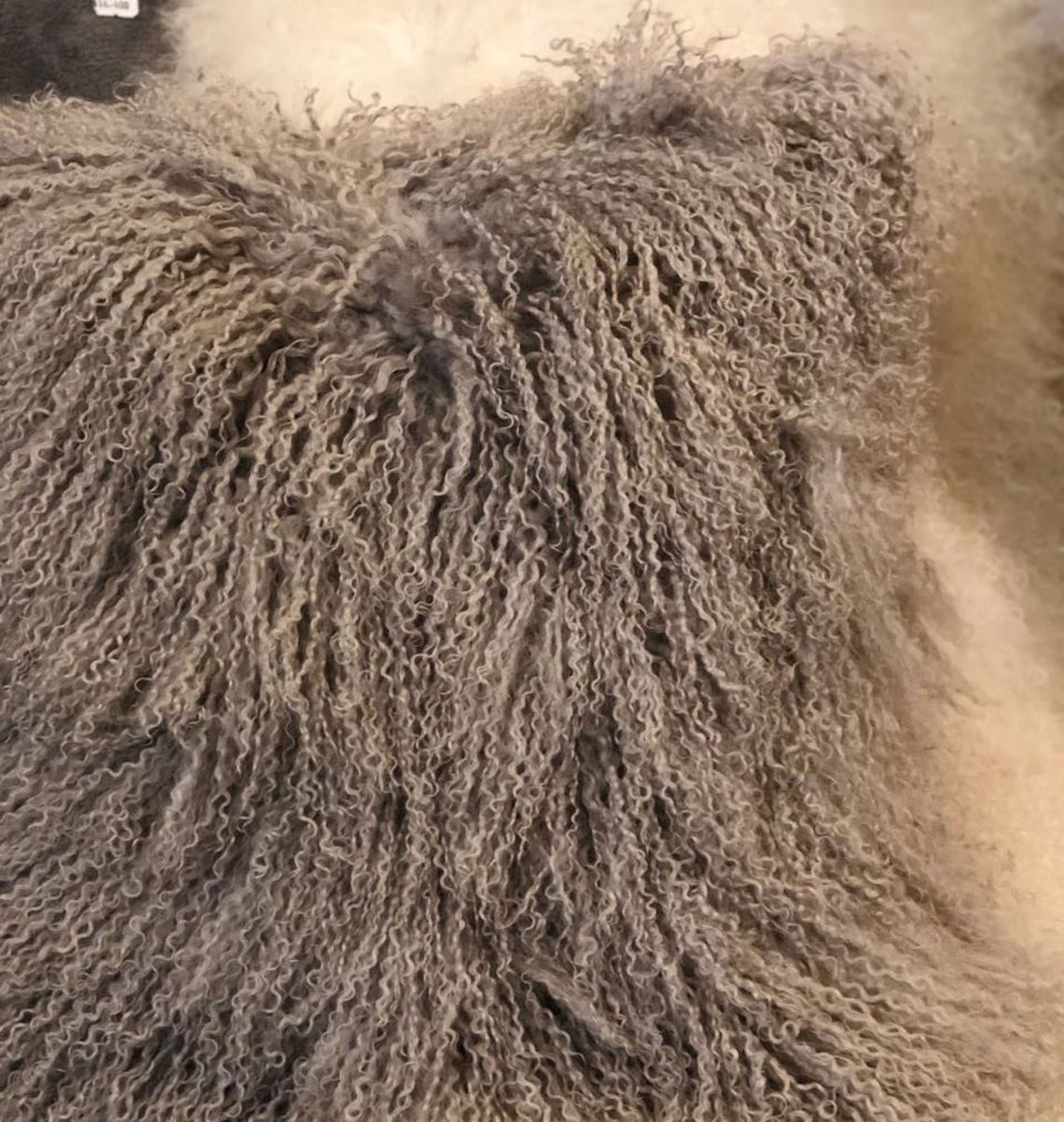 Cojin Cabra Tibetana1