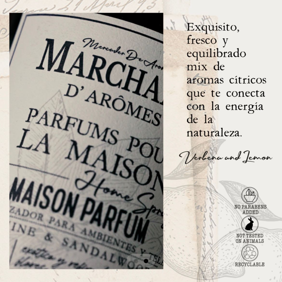 Refill Home Spray Bergamota y Orquidea5