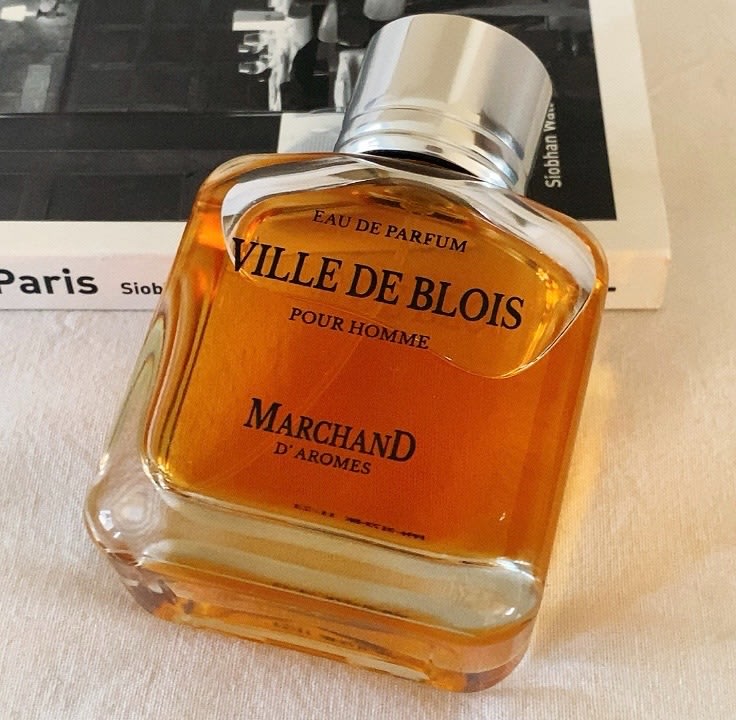 Homme Ville De Blois1