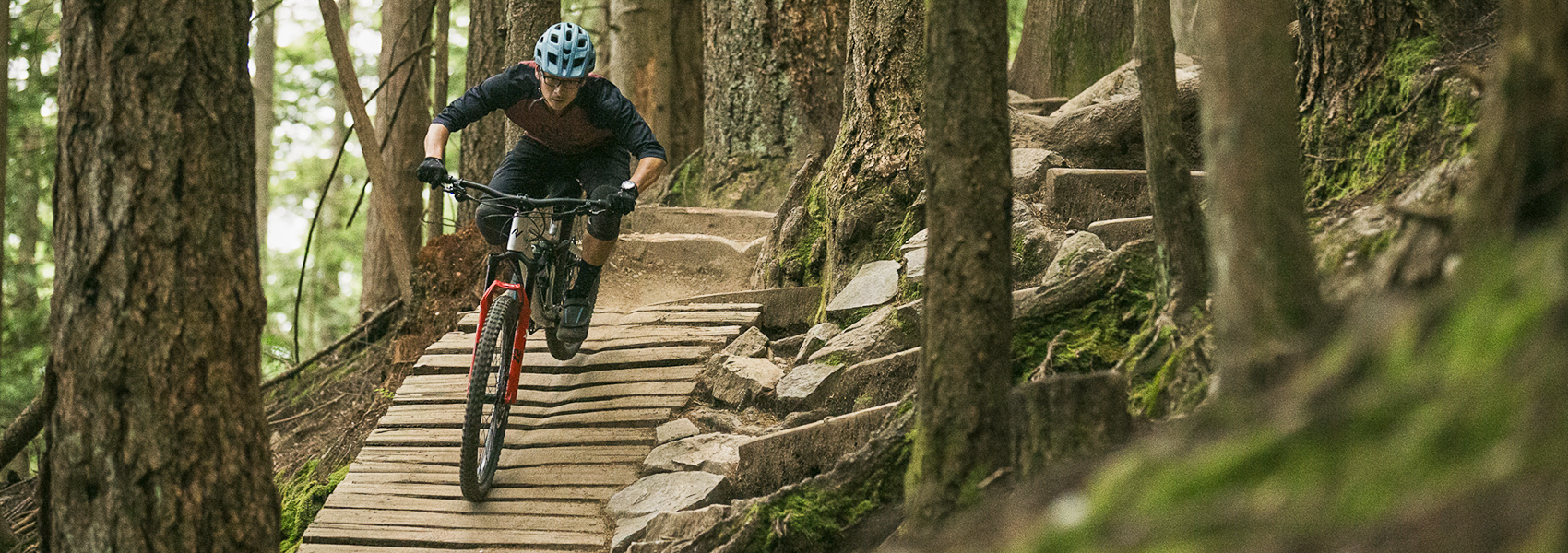 Bicicleta MTB y XC