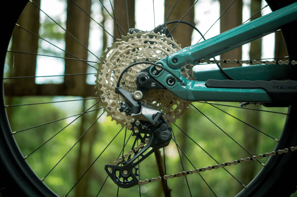 Bicicleta Polygon Collosus N7 Green 20259