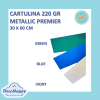 METALLIC PREMIER1