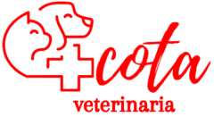MASCOTA PET SHOP