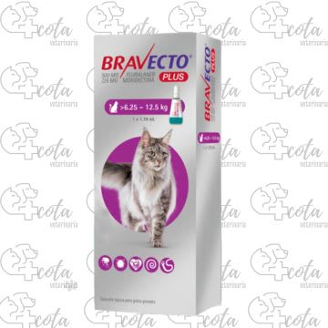 BRAVECTO CAT 6.25 A 12.5KG