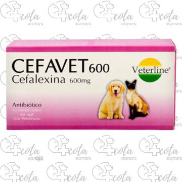 CEFAVET 600mg UNIDAD