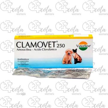 CLAMOVET