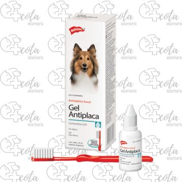 GEL ANTIPLACA