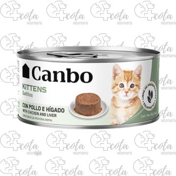 CANBO LATA CAT KITTEN
