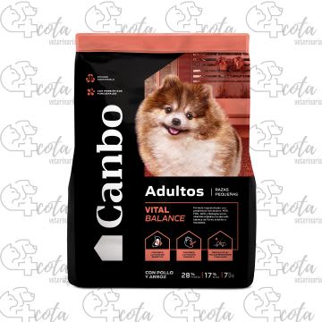 CANBO POLLO ADULTO RAZA PEQUEÑA