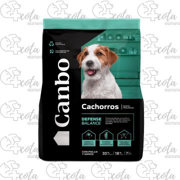 CANBO POLLO CACHORRO RAZA PEQUEÑA
