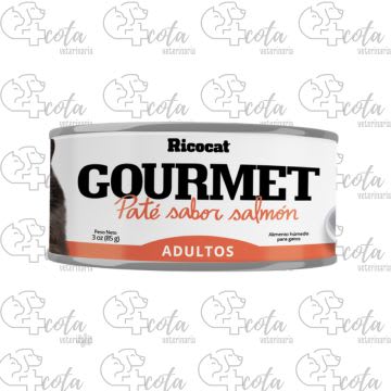 GOURMET SALMON 85gr
