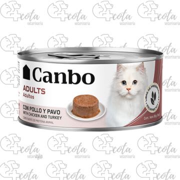 CANBO LATA CAT ADULT1