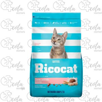 RICOCAT GATITOS