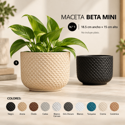 Maceta Beta