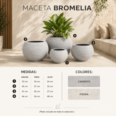Maceta Bromelia