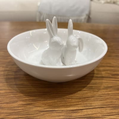 Plato Bunny