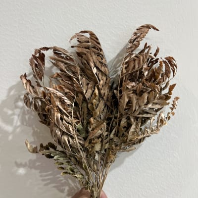 Flor de Arce