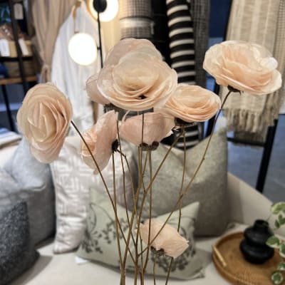 Rosa Rosita