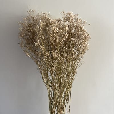 Confeti