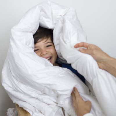 Edredon de Plumas Premium Nacional