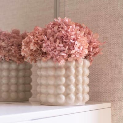 Hortensia rosa