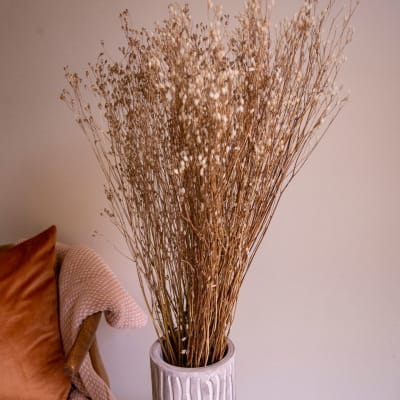Arrocillo Natural