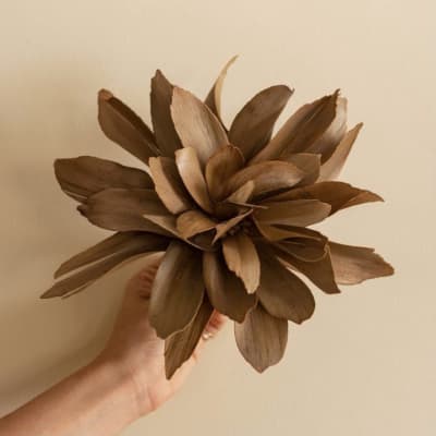 Flor de Palmera