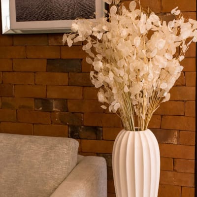 Lunaria Natural