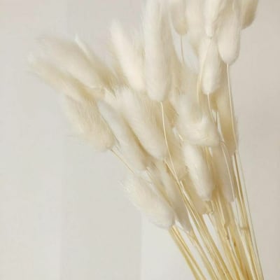 Colitas de zorro crema