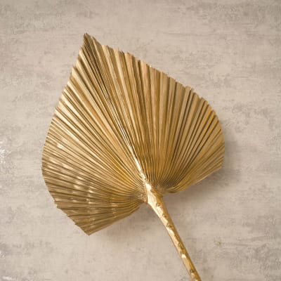 Palmera Dorada