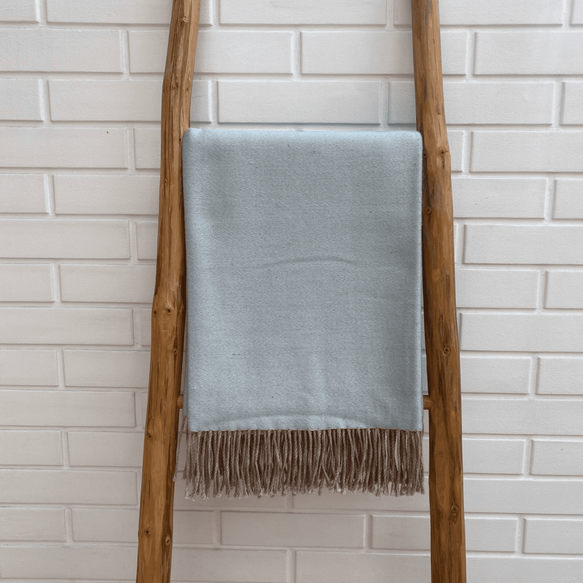 Manta Andy Celeste13